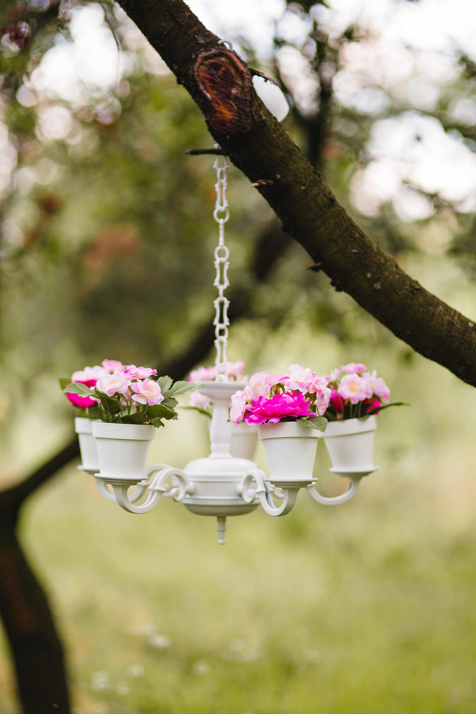 Susan&Sis decor – svadobna vyzdoba, dekorovanie- krasne jarne fotenie v sade – ruzovy candybar, ruze, romanticka vyzdoba